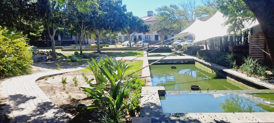 To Let commercial Property for Rent in Century City Western Cape